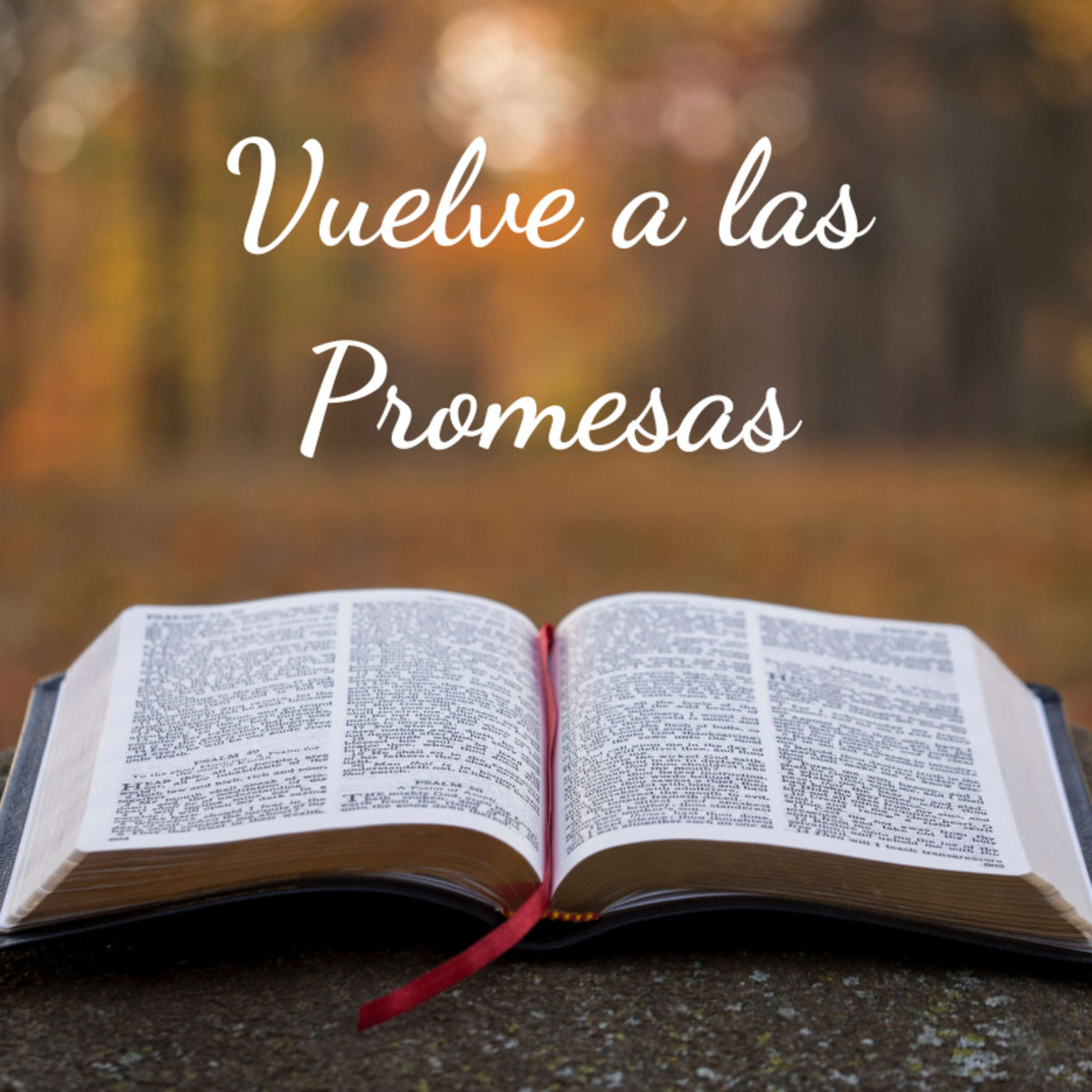 Vuelve a las Promesas ( Pastor Andrés Mejía )